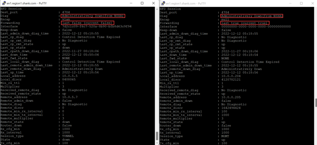 VMware NSX Edge TEP failure