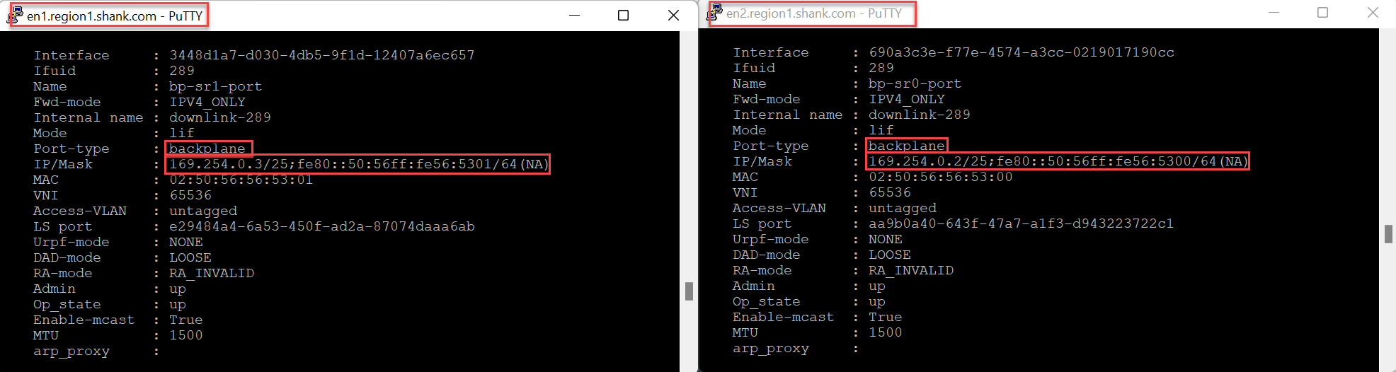 VMware NSX Edge Tier-0 SR backplane ports