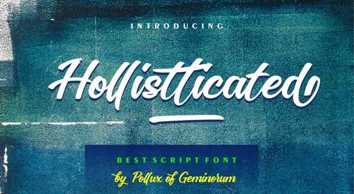 Home page of Hollistticated