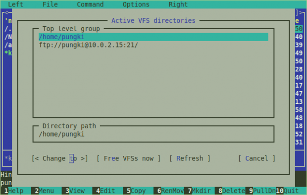 Disconnect FTP