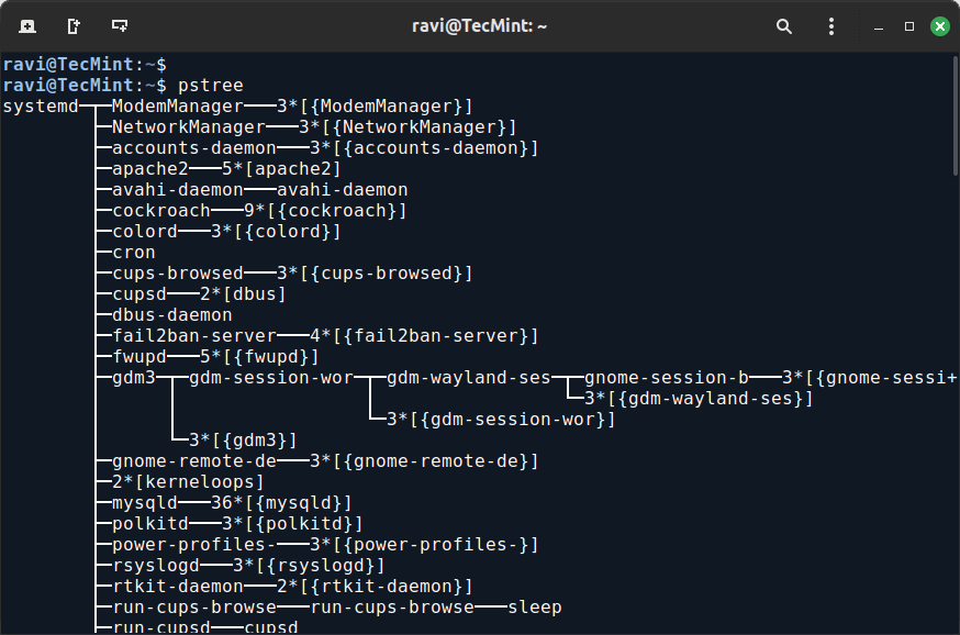 Show Processes Structure