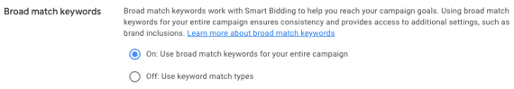 Screenshot of "broad match keywords" options