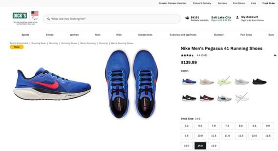 Screenshot of a Dick's Sporting Goods Nike shoe page