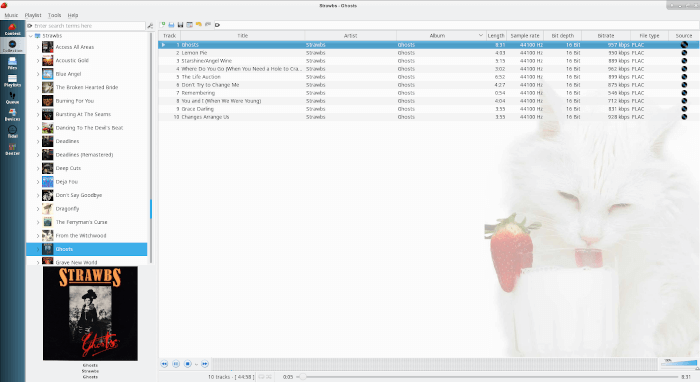 Strawberry Music Player