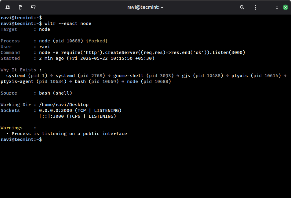Viewing Full Process History in Witr